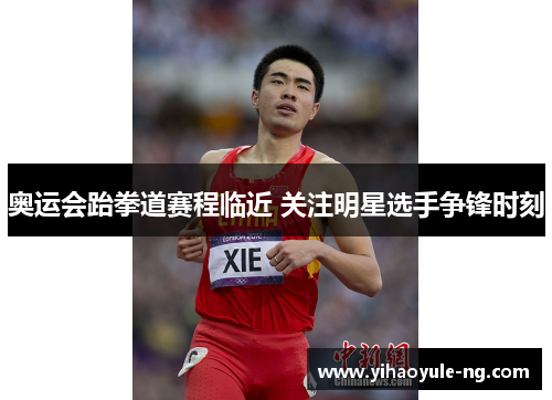 奥运会跆拳道赛程临近 关注明星选手争锋时刻